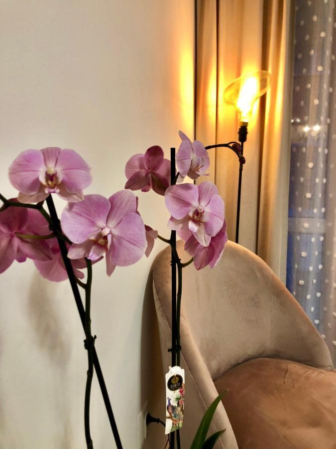 Old Town Romantic Apartment. Breslau-Wroclaw. Zewnętrze zdjęcie
